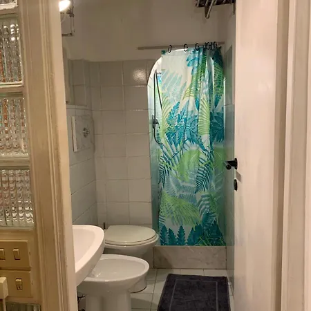 Ideal For Your Holidays